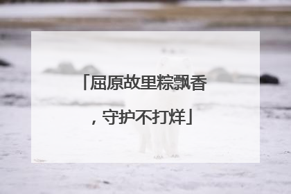 屈原故里粽飘香，守护不打烊