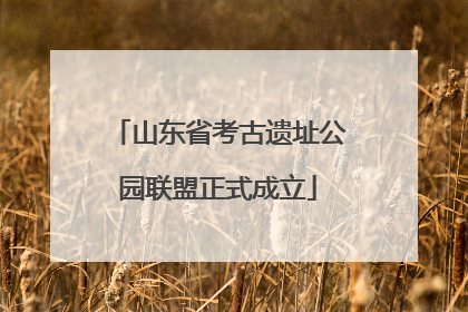 山东省考古遗址公园联盟正式成立
