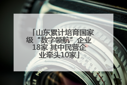 山东累计培育国家级“数字领航”企业18家 其中民营企业牵头10家