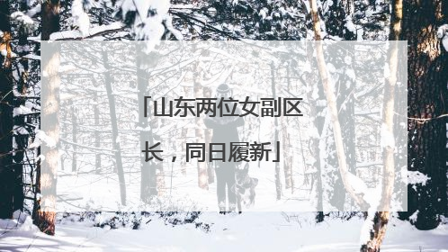 山东两位女副区长，同日履新