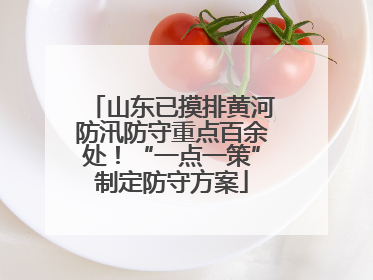 山东已摸排黄河防汛防守重点百余处！“一点一策”制定防守方案