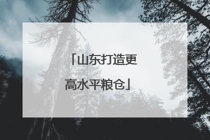 山东打造更高水平粮仓