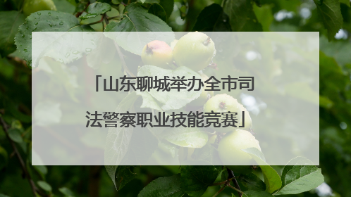 山东聊城举办全市司法警察职业技能竞赛