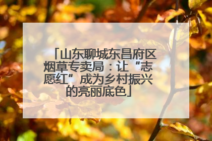 山东聊城东昌府区烟草专卖局：让“志愿红”成为乡村振兴的亮丽底色