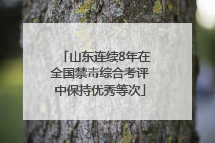 山东连续8年在全国禁毒综合考评中保持优秀等次
