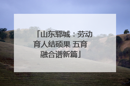 山东郓城：劳动育人结硕果 五育融合谱新篇