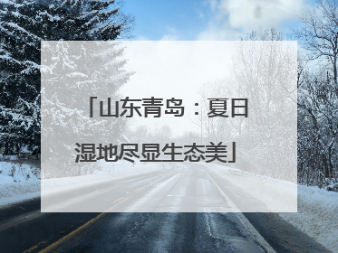 山东青岛：夏日湿地尽显生态美