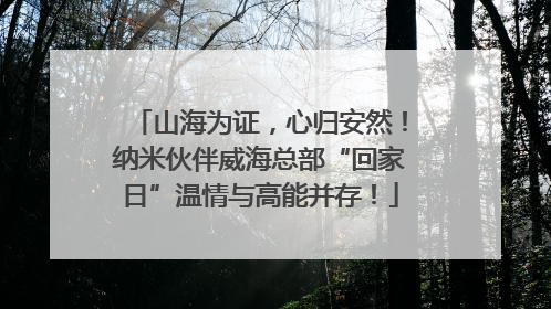 山海为证，心归安然！纳米伙伴威海总部“回家日”温情与高能并存！