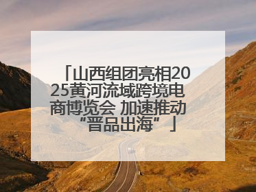 山西组团亮相2025黄河流域跨境电商博览会 加速推动“晋品出海”