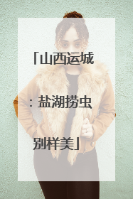 山西运城：盐湖捞虫别样美