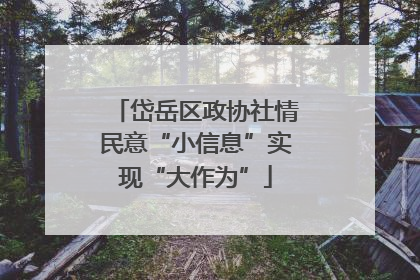 岱岳区政协社情民意“小信息”实现“大作为”