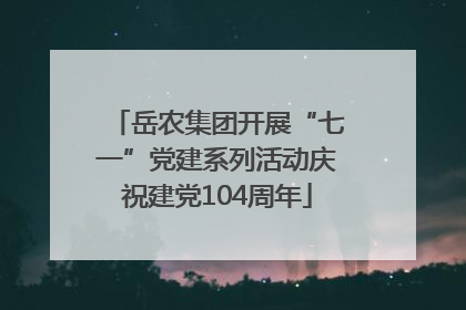 岳农集团开展“七一”党建系列活动庆祝建党104周年