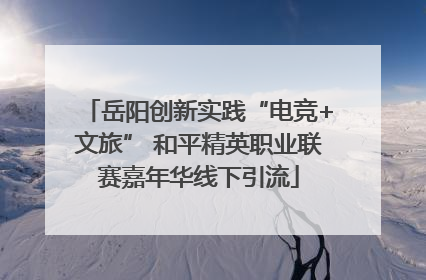 岳阳创新实践“电竞+文旅” 和平精英职业联赛嘉年华线下引流