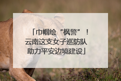 巾帼绘“枫警”！云南这支女子巡防队助力平安边境建设