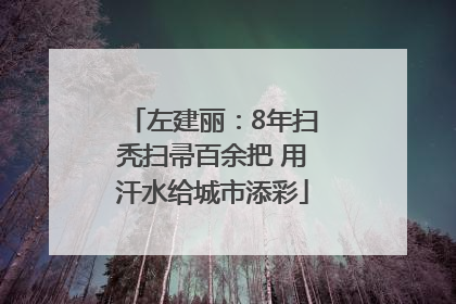 左建丽：8年扫秃扫帚百余把 用汗水给城市添彩