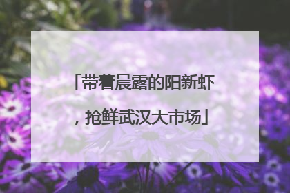 带着晨露的阳新虾，抢鲜武汉大市场