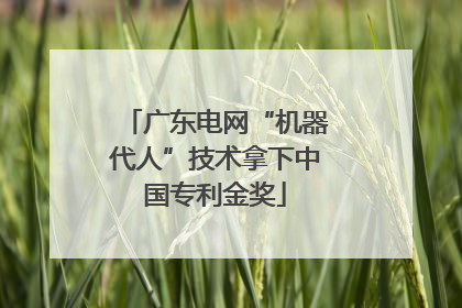 广东电网“机器代人”技术拿下中国专利金奖