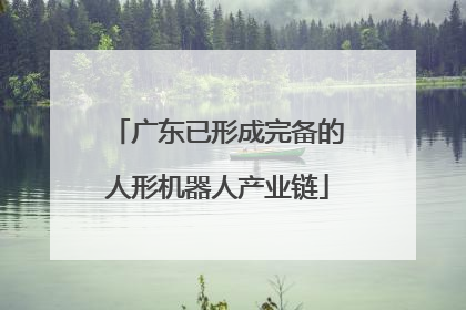 广东已形成完备的人形机器人产业链
