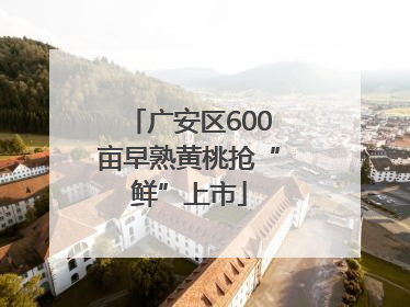 广安区600亩早熟黄桃抢“鲜”上市