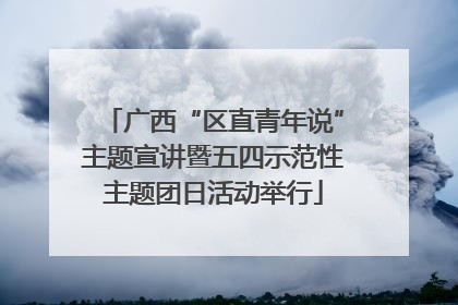 广西“区直青年说”主题宣讲暨五四示范性主题团日活动举行