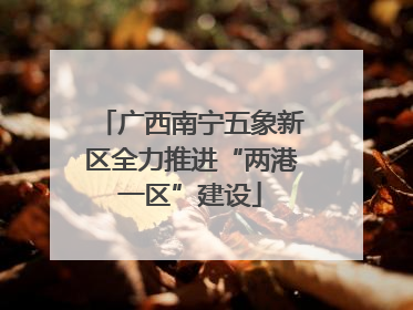 广西南宁五象新区全力推进“两港一区”建设