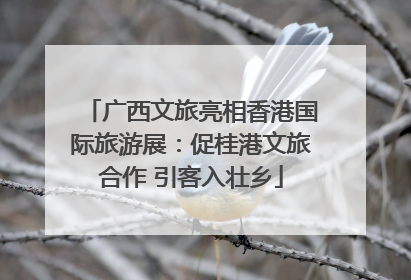 广西文旅亮相香港国际旅游展：促桂港文旅合作 引客入壮乡