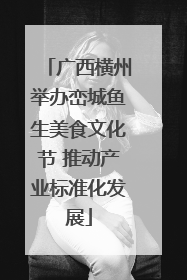 广西横州举办峦城鱼生美食文化节 推动产业标准化发展