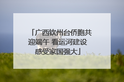 广西钦州台侨胞共迎端午 看运河建设感受家国强大