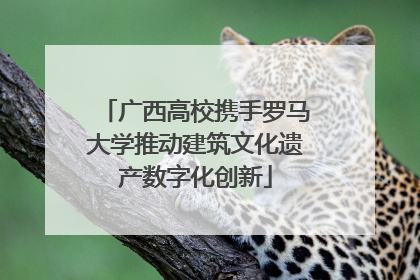 广西高校携手罗马大学推动建筑文化遗产数字化创新