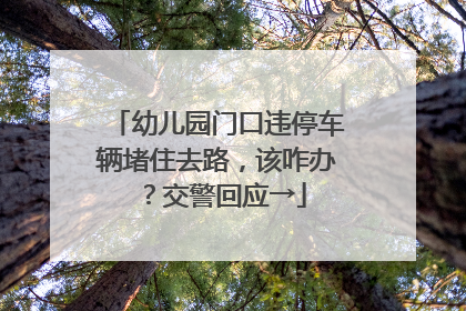 幼儿园门口违停车辆堵住去路，该咋办？交警回应→
