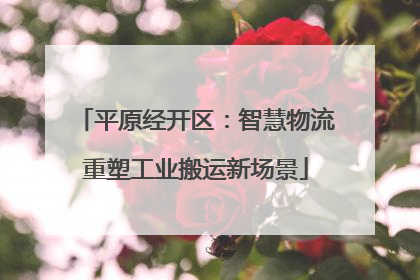 平原经开区：智慧物流重塑工业搬运新场景