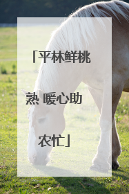 平林鲜桃熟 暖心助农忙
