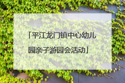 平江龙门镇中心幼儿园亲子游园会活动