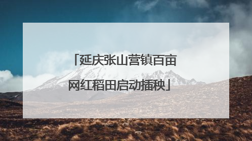 延庆张山营镇百亩网红稻田启动插秧