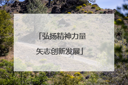 弘扬精神力量 矢志创新发展
