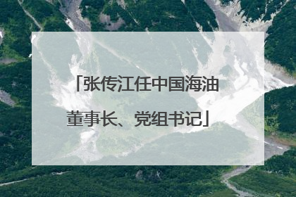 张传江任中国海油董事长、党组书记
