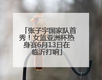 张子宇国家队首秀！女篮亚洲杯热身赛6月13日在临沂打响