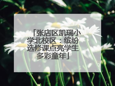 张店区凯瑞小学北校区：缤纷选修课点亮学生多彩童年