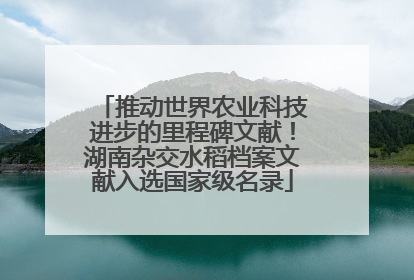 推动世界农业科技进步的里程碑文献！湖南杂交水稻档案文献入选国家级名录