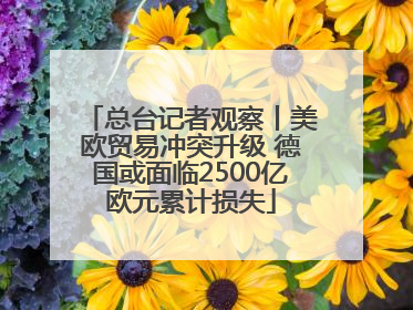 总台记者观察丨美欧贸易冲突升级 德国或面临2500亿欧元累计损失