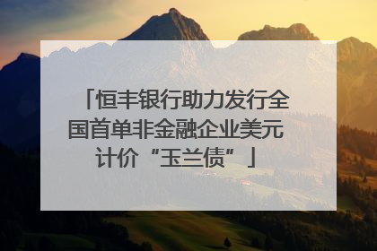 恒丰银行助力发行全国首单非金融企业美元计价“玉兰债”