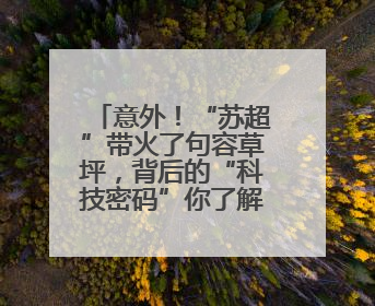 意外！“苏超”带火了句容草坪，背后的“科技密码”你了解吗？