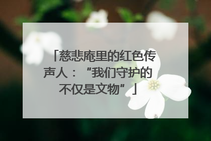 慈悲庵里的红色传声人：“我们守护的不仅是文物”