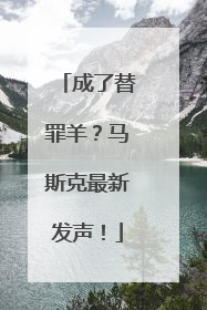 成了替罪羊？马斯克最新发声！