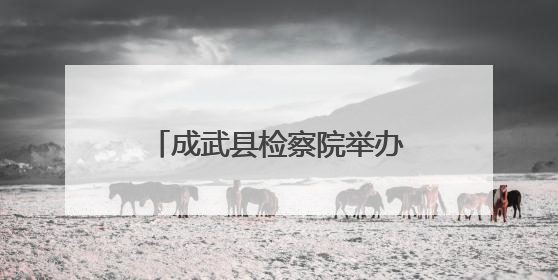 成武县检察院举办民法典颁布五周年检察开放日活动