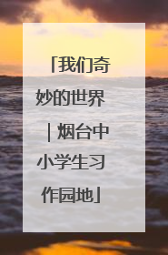 我们奇妙的世界｜烟台中小学生习作园地