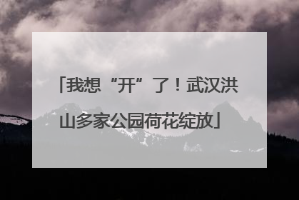 我想“开”了！武汉洪山多家公园荷花绽放