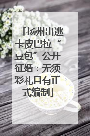 扬州出逃卡皮巴拉“豆包”公开征婚：无须彩礼且有正式编制