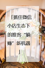 抓住微信小店生态下的推客“躺赚”新机遇