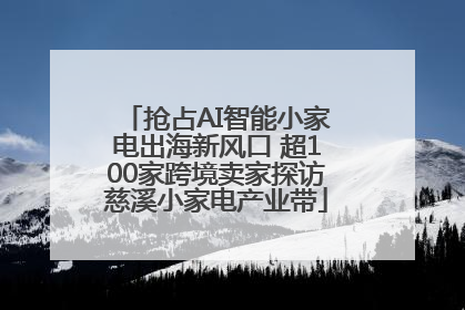 抢占AI智能小家电出海新风口 超100家跨境卖家探访慈溪小家电产业带